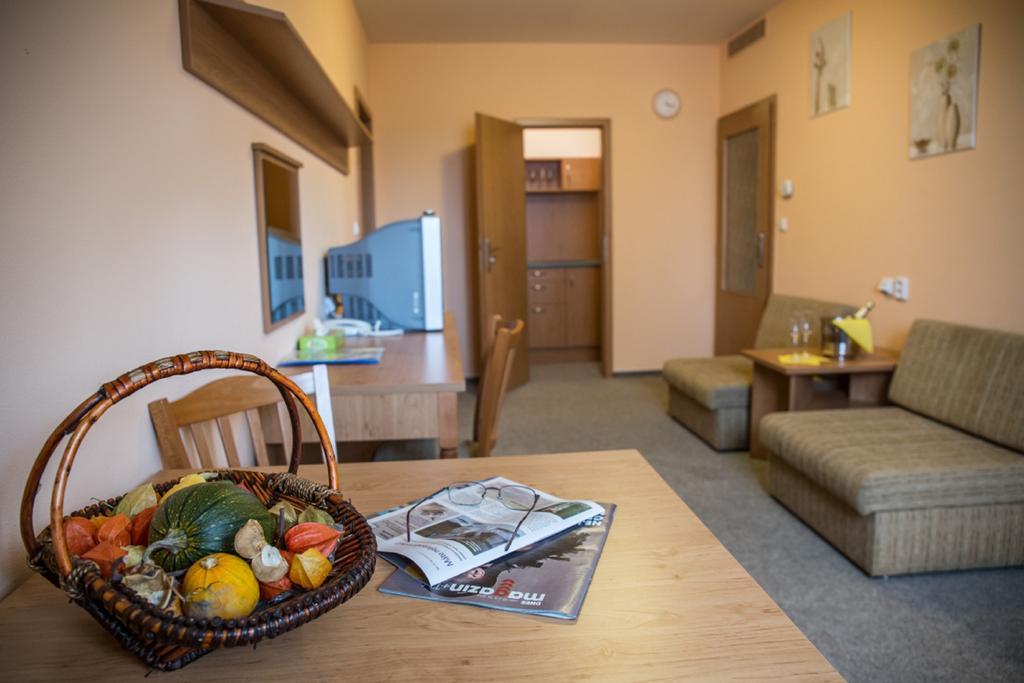 Hotel Na Jizni プルジェロフ 部屋 写真